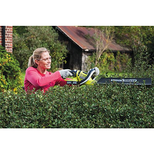 Ryobi AkkuHeckenschere OHT1855R heckenscherenprofi.de
