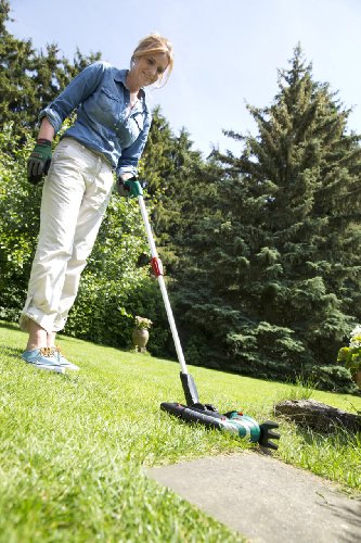 Bosch Akku-Grasschere Isco mitTeleskopstiel